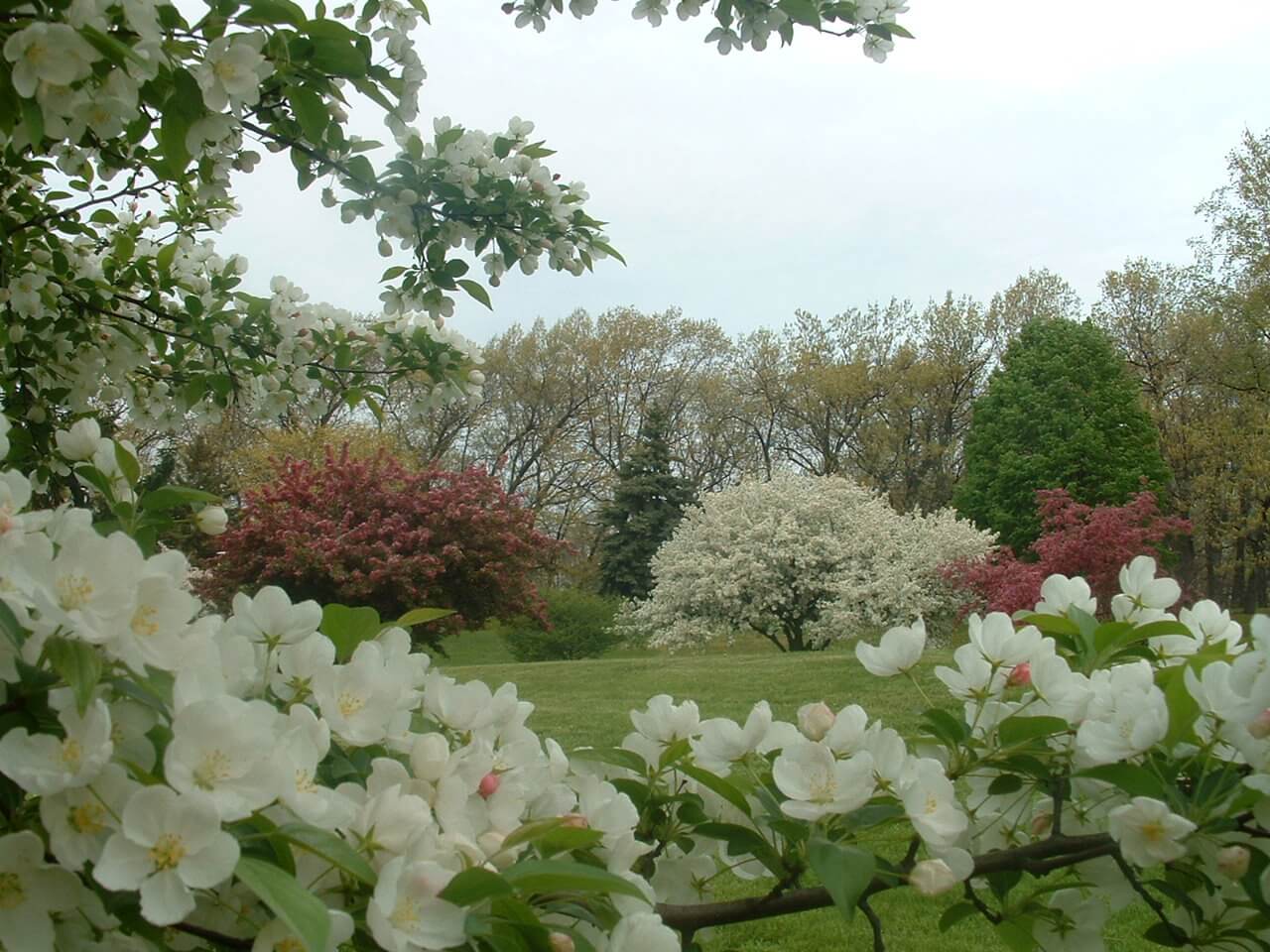 Woodland Park in Bloom
