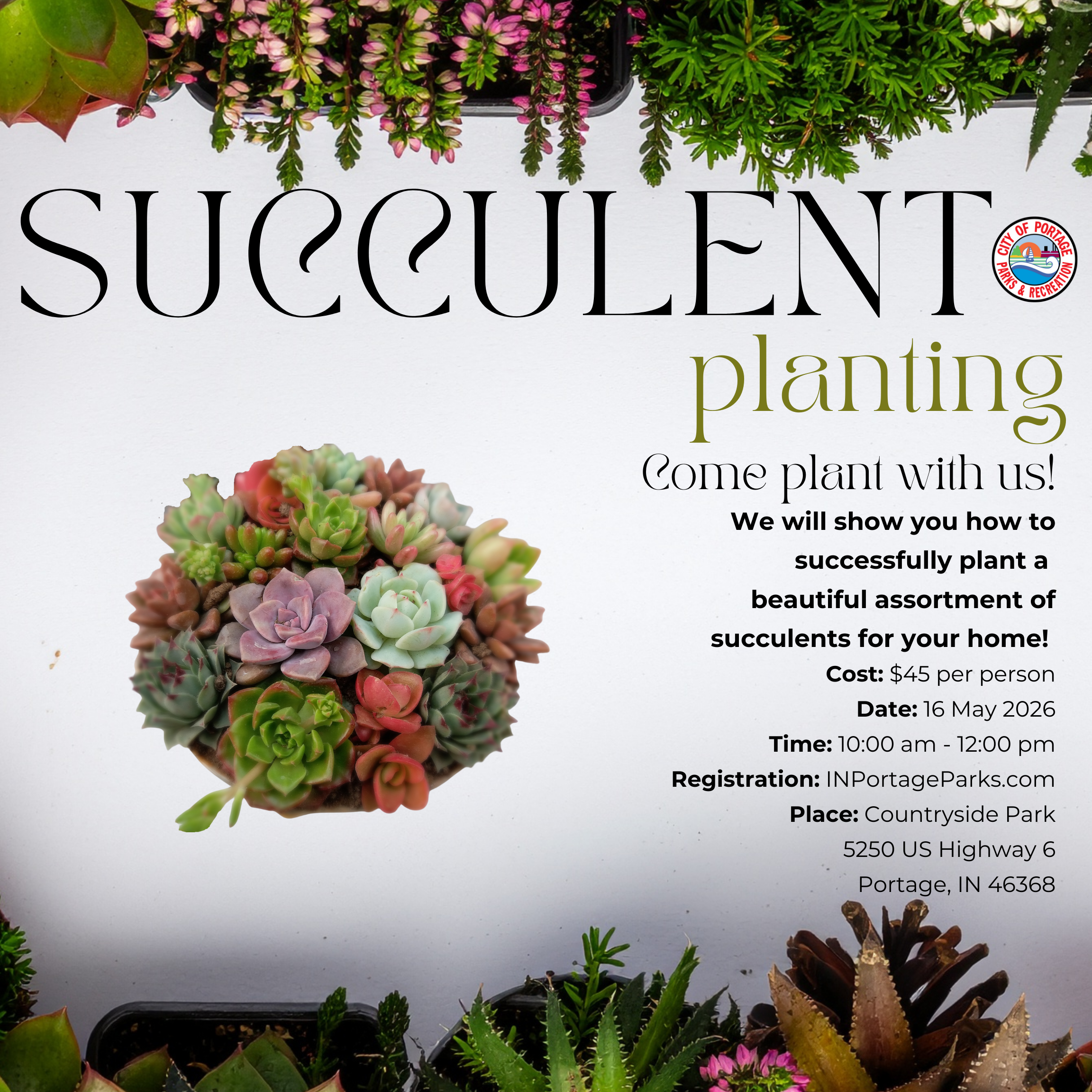 Succulent Planting May 2026